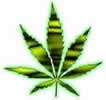 Hemp Food Industries Association